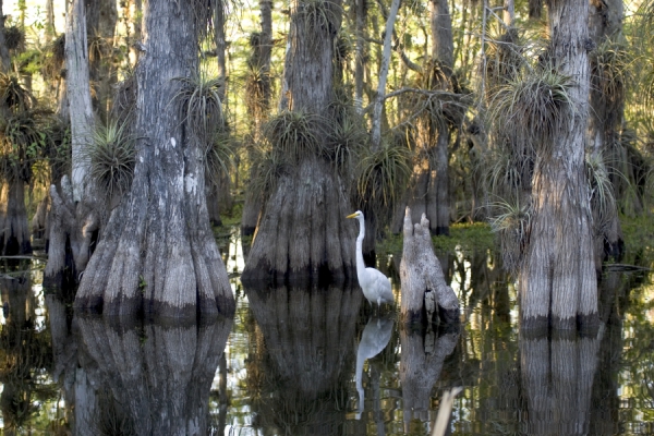 Everglades National Park