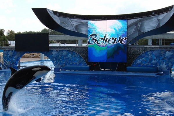 Seaworld– Orlando, Florida