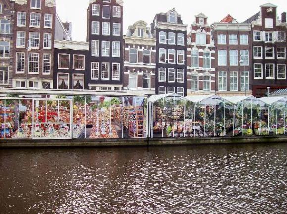 Window Shop in an Open-air Market