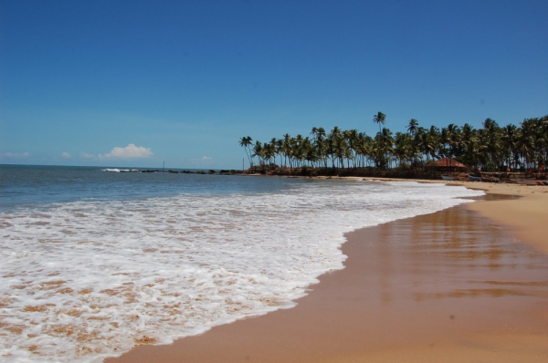 Tarkarli Beach, Maharastra