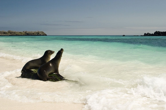 Galapagos Islands