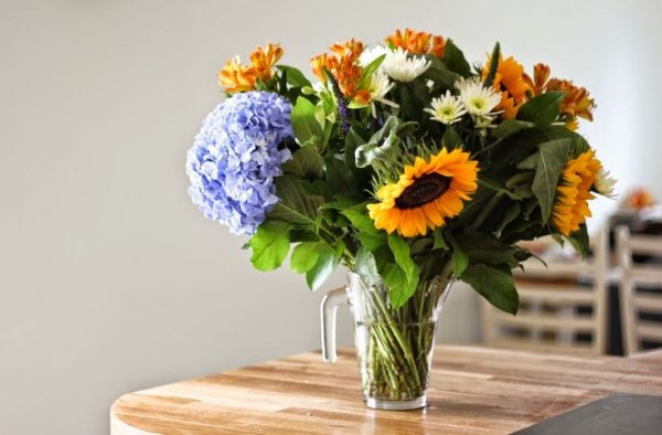 Freshly Cut Flowers in Many Colors