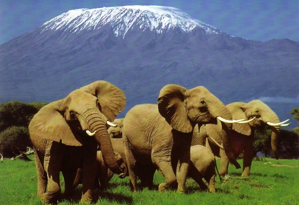 Mount Kenya National Park, Kenya