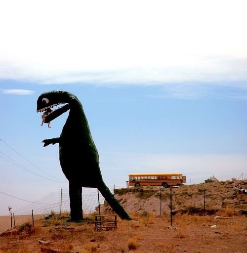 Stewart's Petrified Wood, Arizona