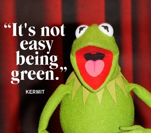 9 Quotes from Kermit the Frog the Puppet with a Lot to Say ...