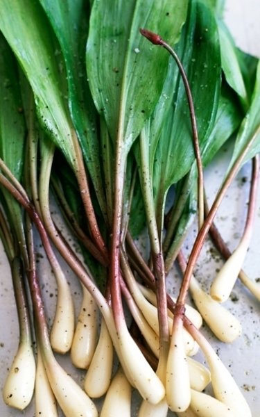 Ramps