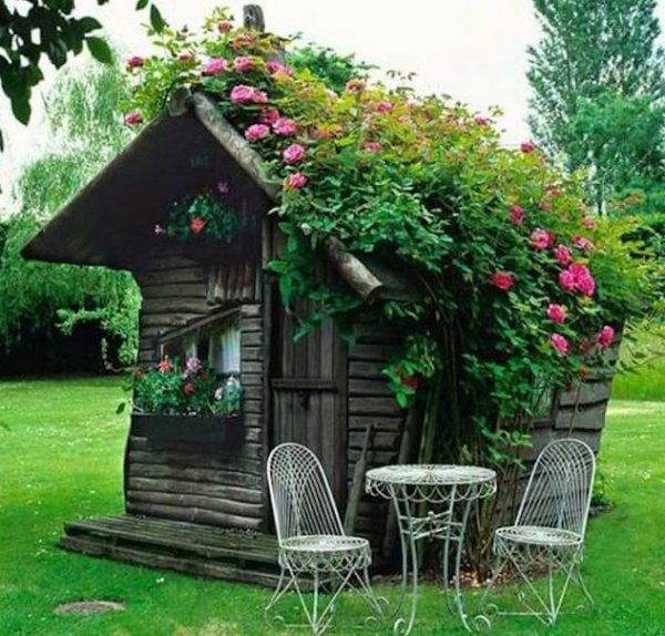 flower,outdoor structure,cottage,garden,yard,