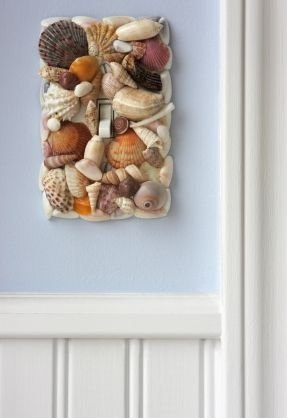 Seashell Switch
