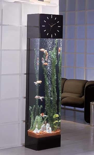 fish tank modern design