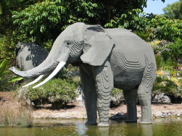 Elephant