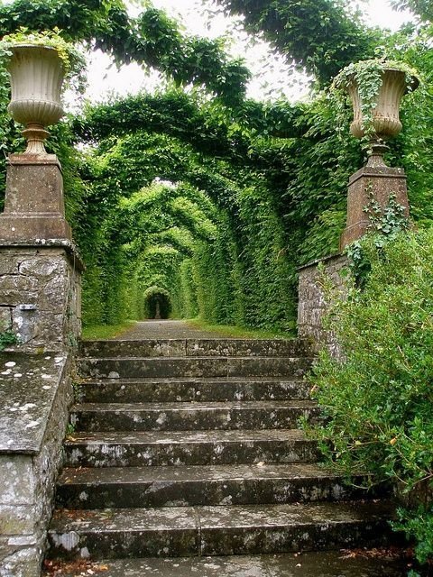 Birr Castle, County Offaly