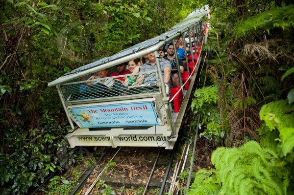 Scenic Railway