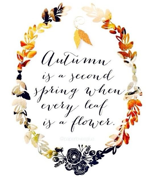 19 Lovely Quotes about Autumn ... Inspiration