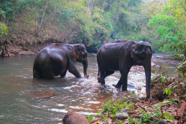 Mondulkiri, Cambodia