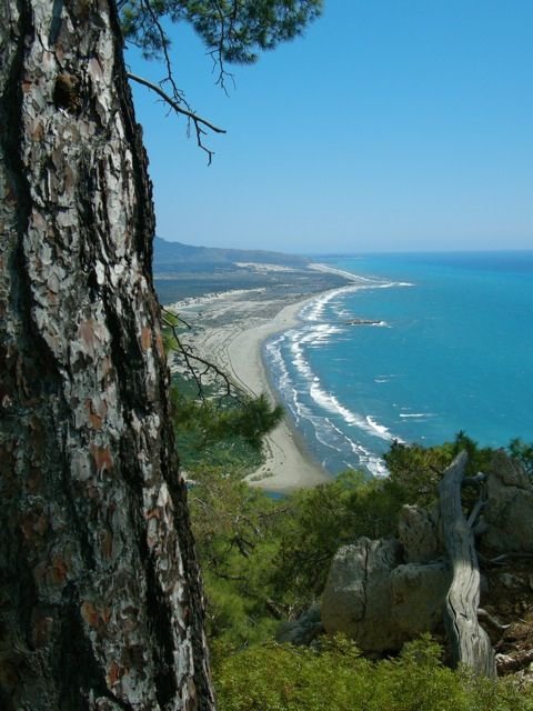 cliff,landform,geographical feature,tree,body of water,