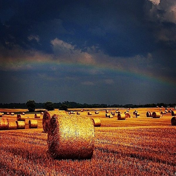 sky,field,horizon,agriculture,cloud,