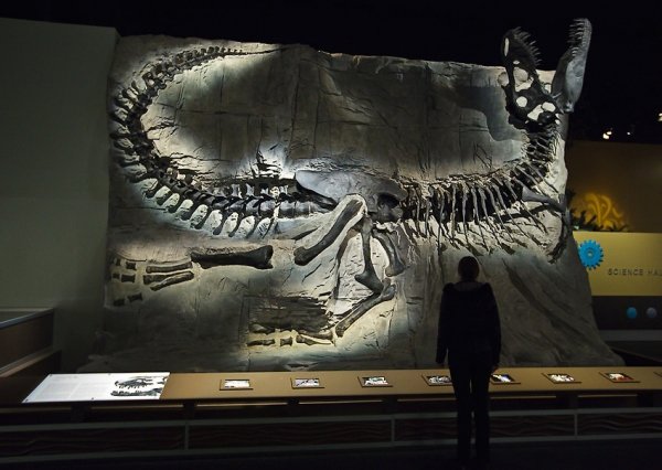 Drumheller