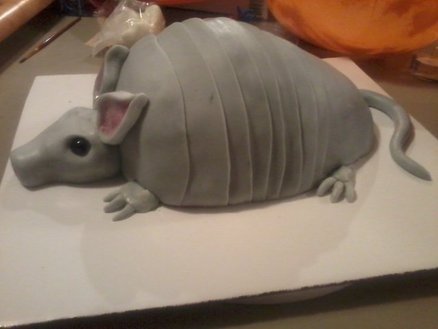 Armadillo Cake