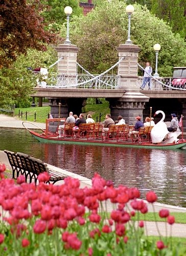 Ride the Swan Boat in Boston's Public Gardens