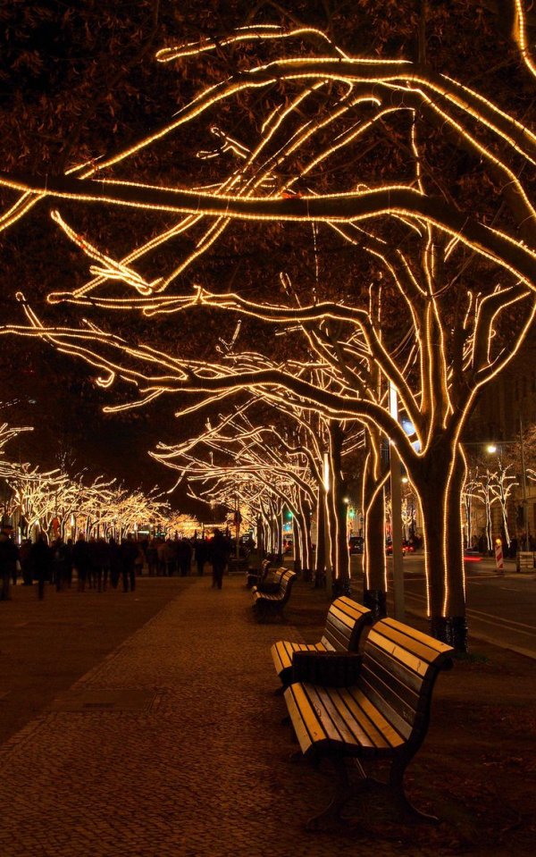 Take a Nighttime Walk Unter Den Linden