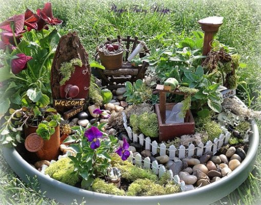 Itty Bitty Fairy Garden