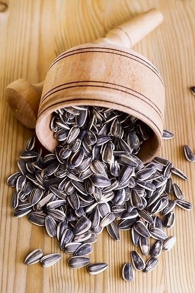 Sunflower Seeds