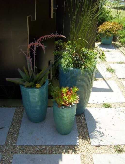 Plants and Planters