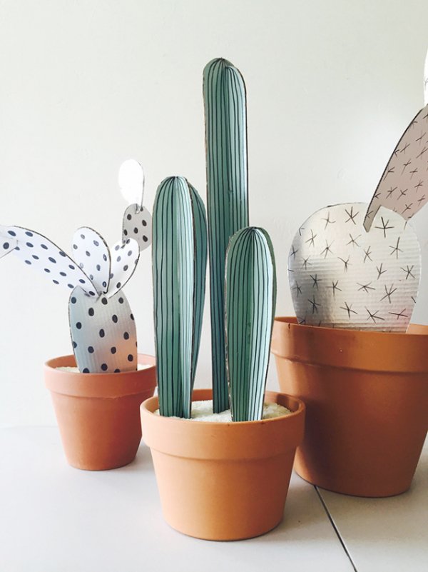 Plant Some Cardboard Cacti