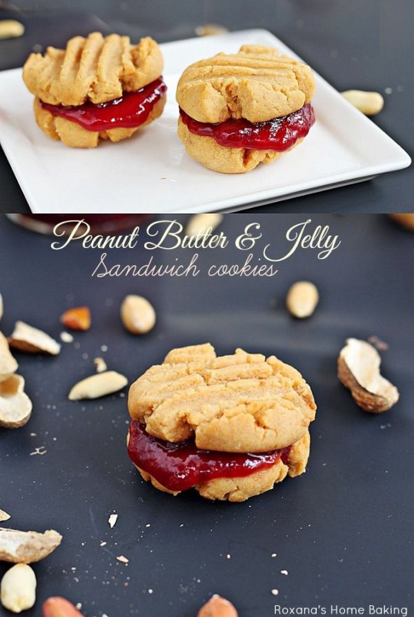 Peanut Butter and Jelly Sandwich