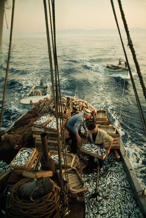 Adriatic Sea, 1970