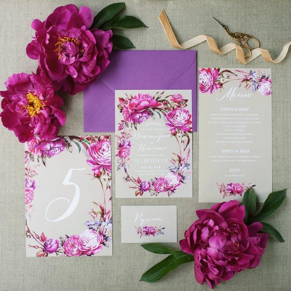 pink, purple, flower, petal, picture frame,