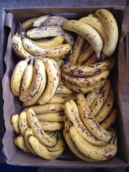 Bananas