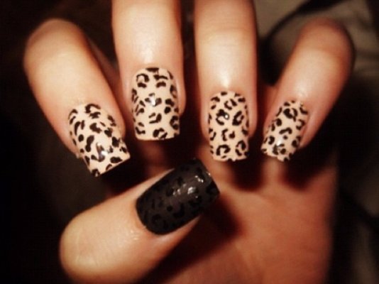 Perfect Cheetah Print