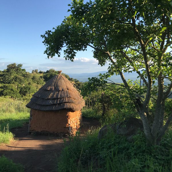 hut, tree, nature reserve, biome, sky,