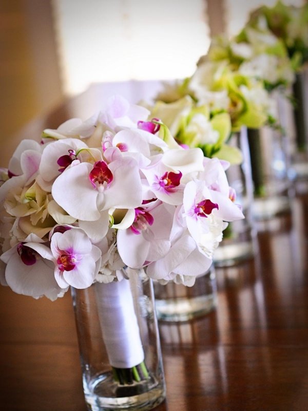 Bright Orchids