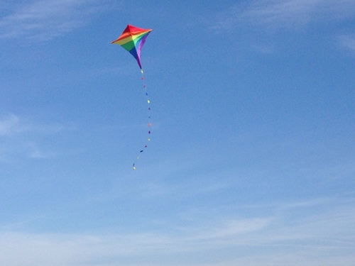 Fly a Kite