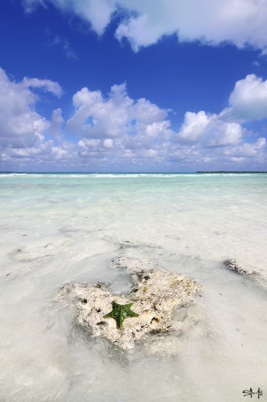 sky,shore,sea,beach,body of water,