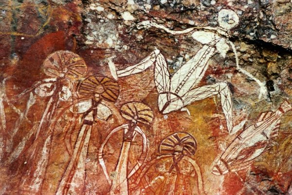 Study Anatomy at Kakadu National Park, Australia