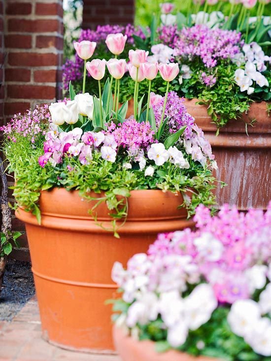 flower,flower arranging,plant,floristry,land plant,