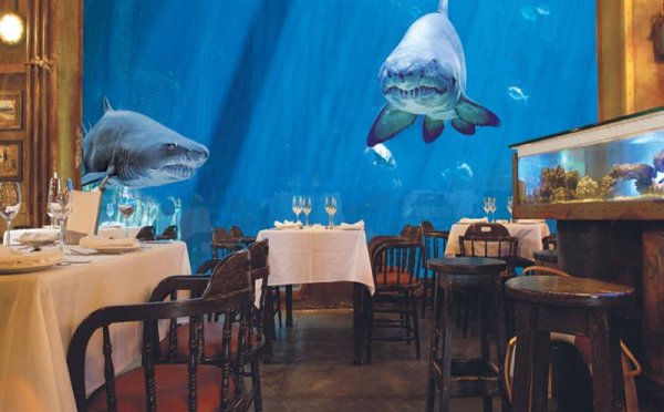 Cargo Hold Restaurant - Durban, South Africa