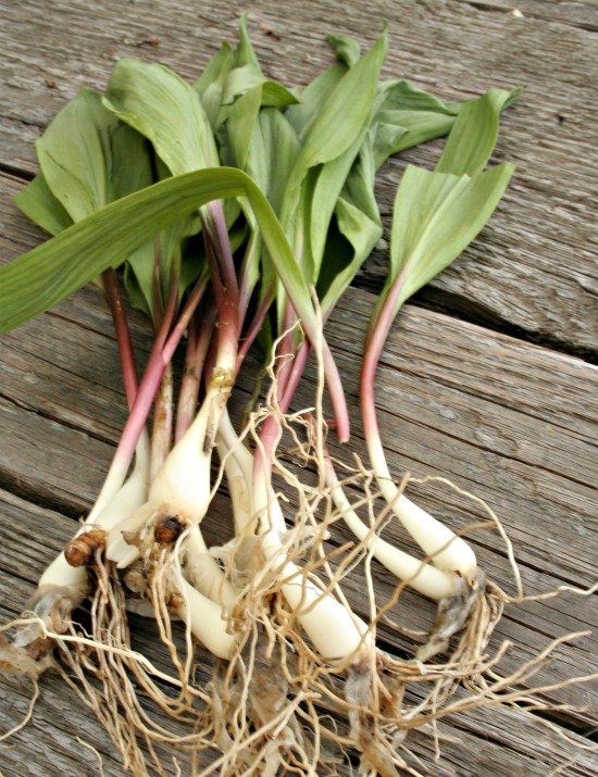 Ramps