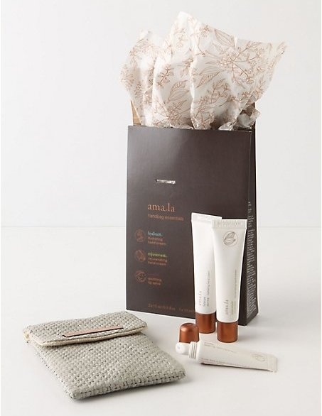 Amala Handbag Essentials