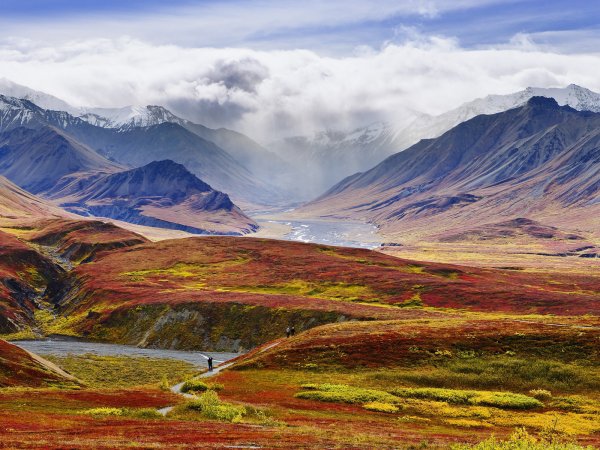 Try Not to Get Eaten in Denali National Park, Alaska