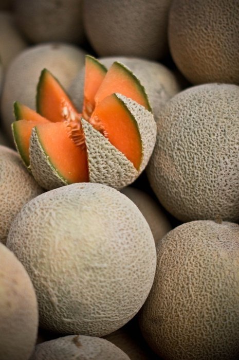 Melons