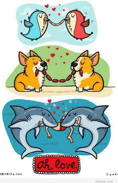 Love in the Animal Kingdom