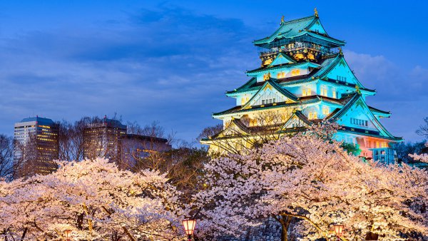 tower, castle, flower,