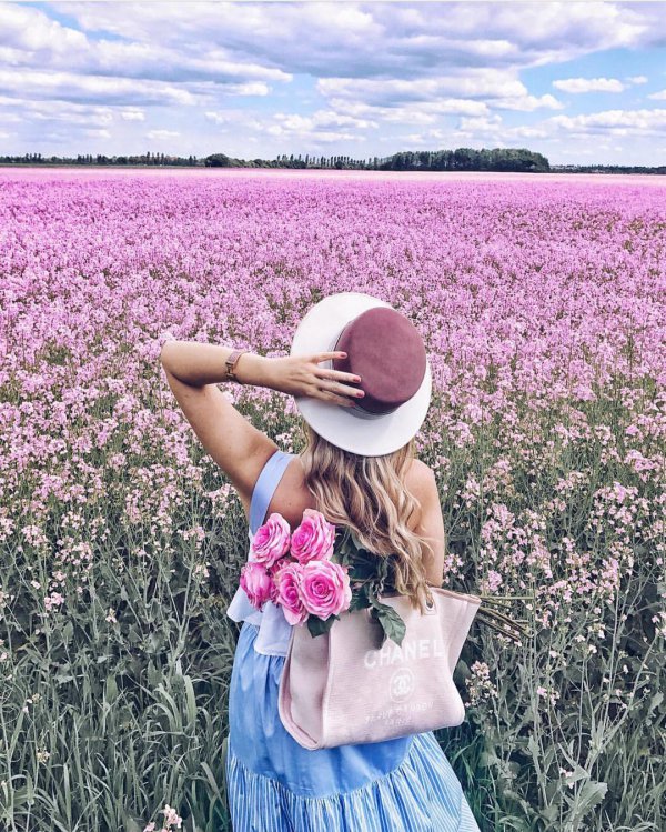 flower, plant, field, lavender, grass family,