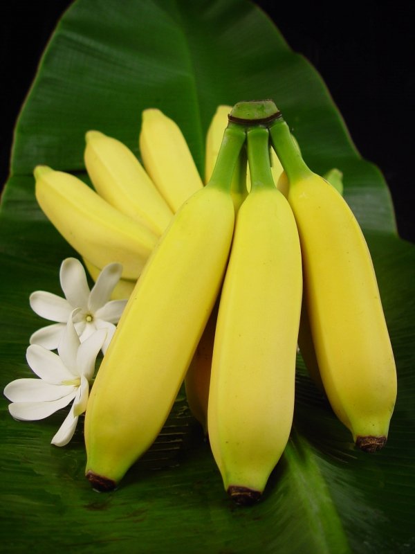 7 Varieties of Bananas You Should Try on Your Next Hawaiian Vacation