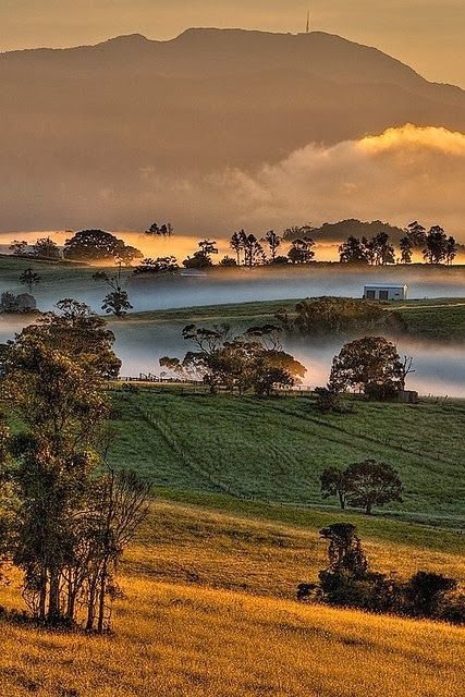 Mount Bellenden Kerr, Queensland, Australia