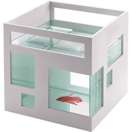 Cool Fish Hotel